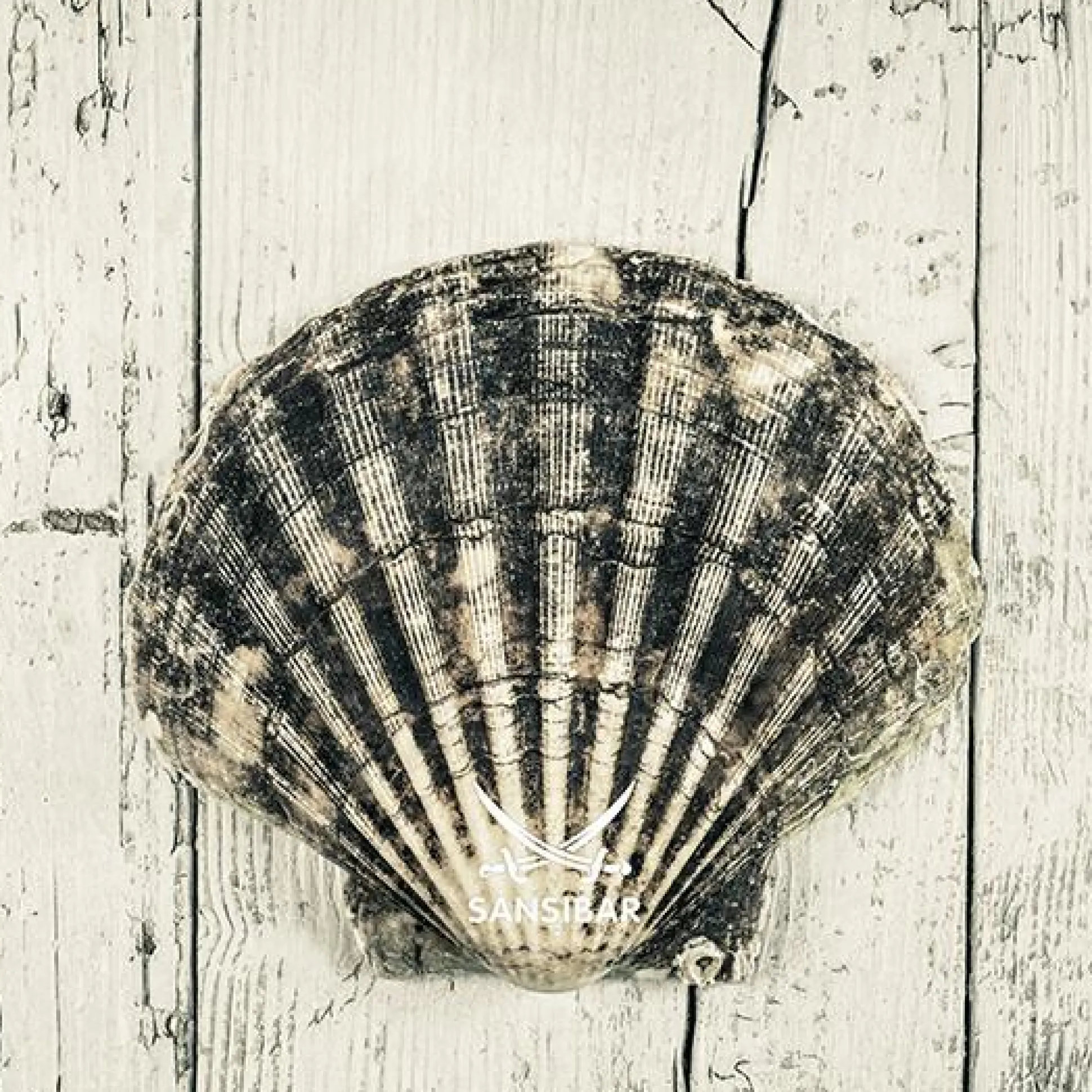 Acrylglasbild SANSIBAR Living