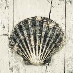 Acrylglasbild SANSIBAR Living