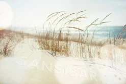 Acrylglasbild SANSIBAR Living