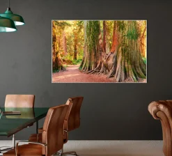 Akustikbild BAUMWURZEL