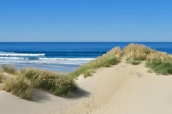 Akustikbild DÜNEN AM MEER 1
