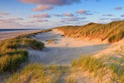 Akustikbild DÜNEN AM MEER 2