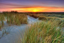 Akustikbild DÜNENLANDSCHAFT