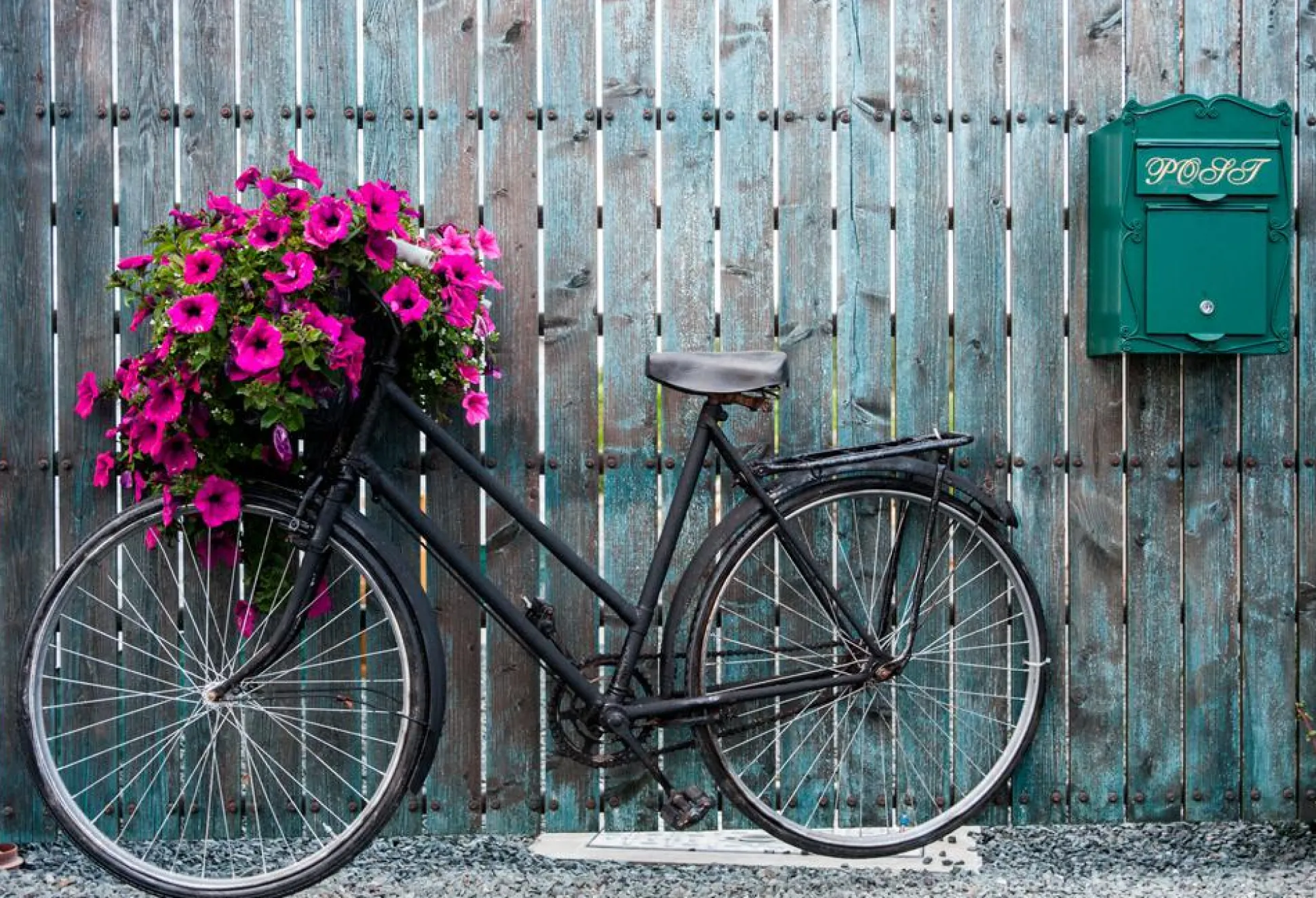 Akustikbild FAHRRAD BLUMENDEKO
