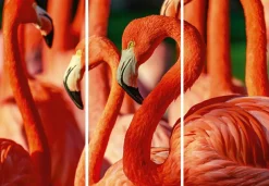 Akustikbild FLAMINGOS