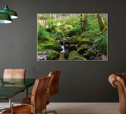 Akustikbild FLUßLAUF IM WALD 2