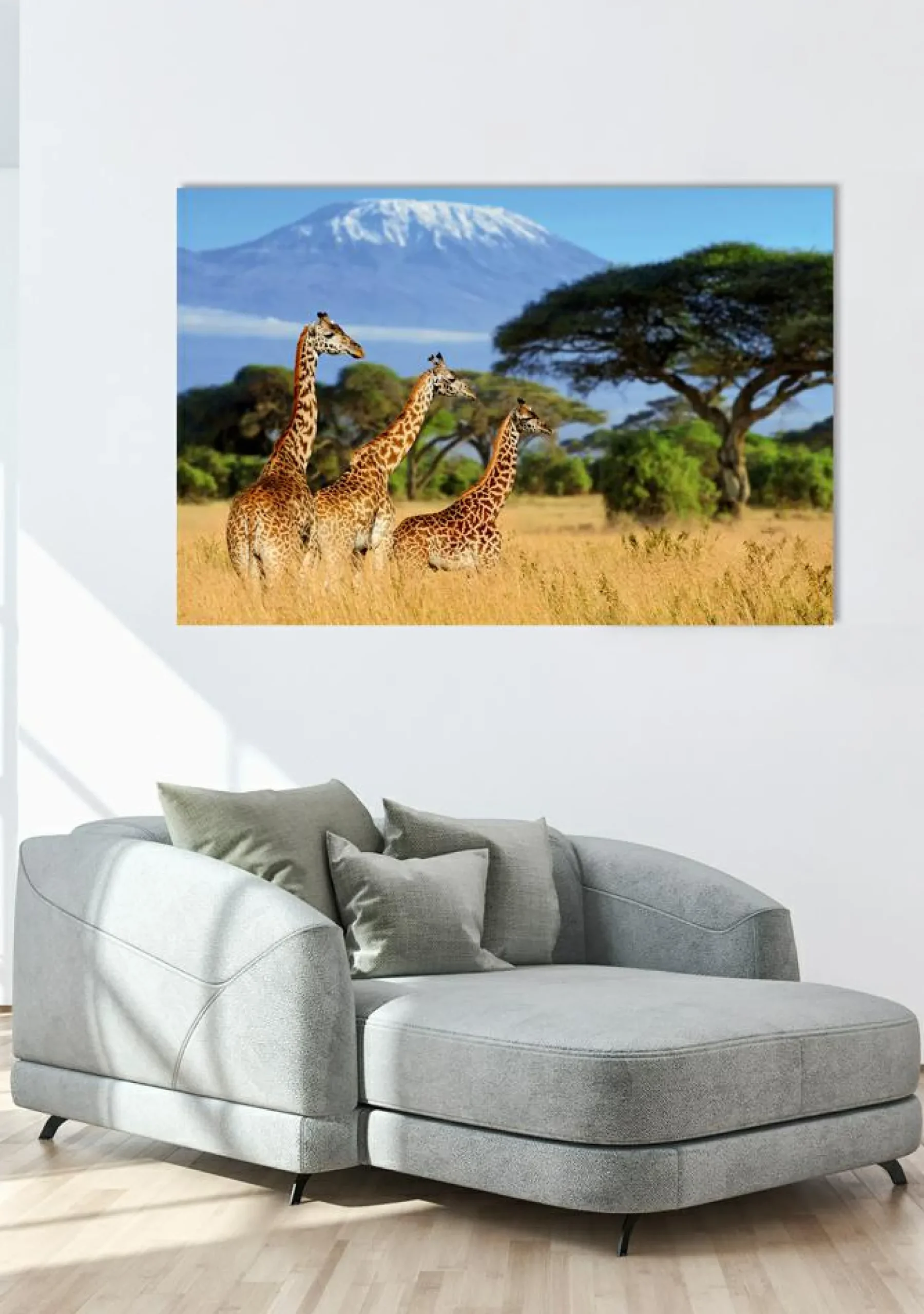 Akustikbild GIRAFFEN