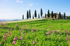 Akustikbild HAUS TOSKANA