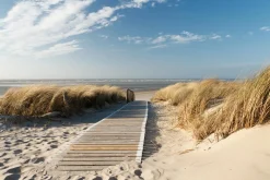 Akustikbild HOLZWEG ZUM MEER 1