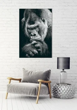 Akustikbild IMPOSANTER GORILLA