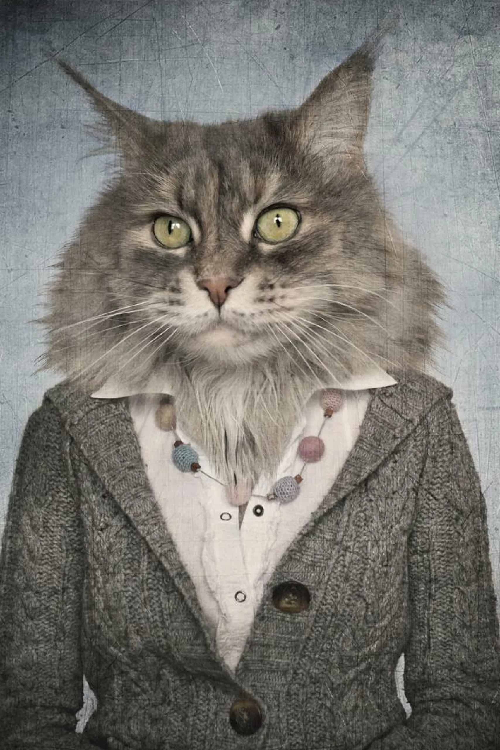 Akustikbild KATZENFRAU