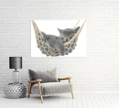 Akustikbild KÄTZCHEN