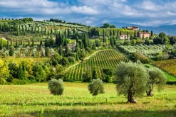 Akustikbild LANDSCHAFT