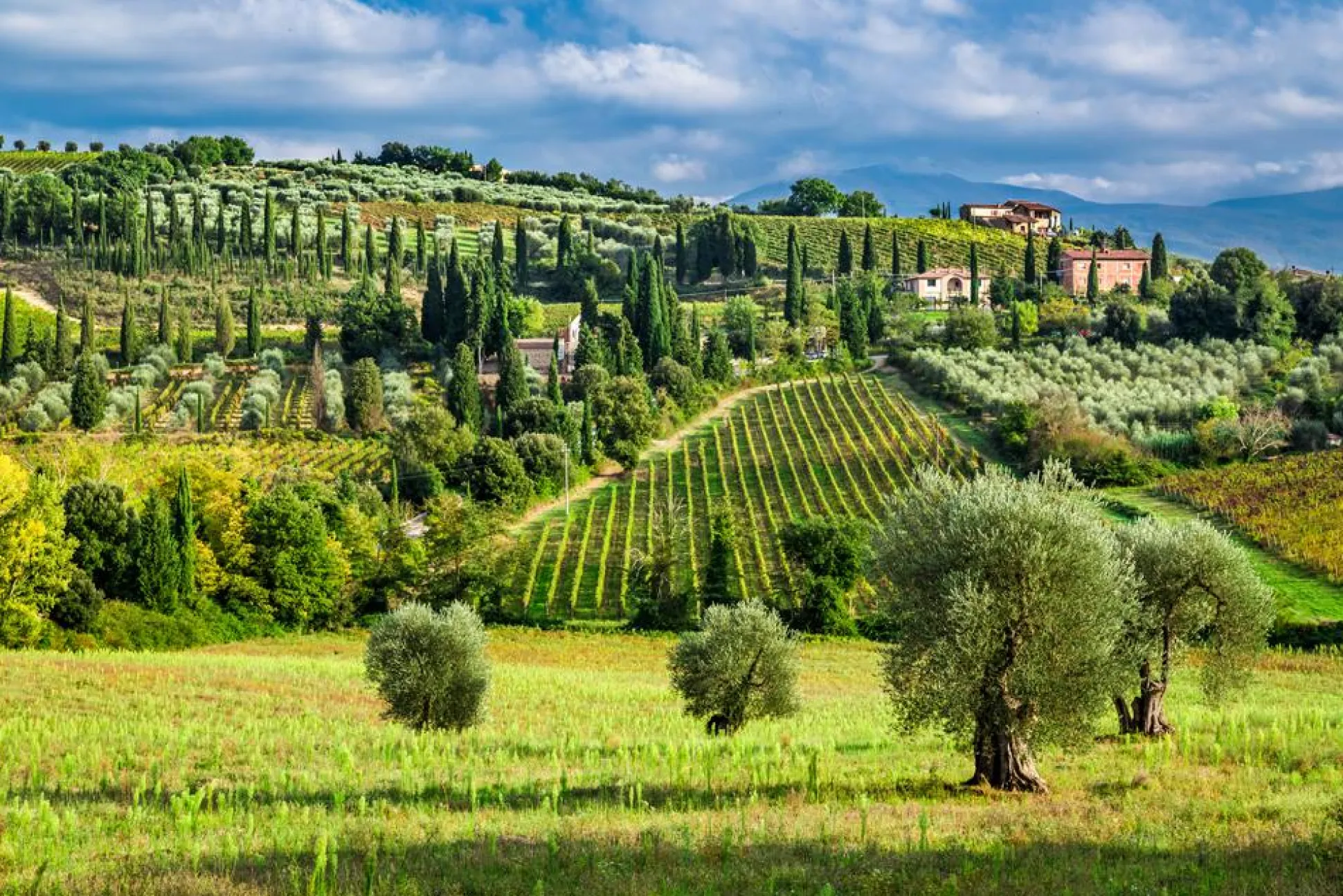 Akustikbild LANDSCHAFT