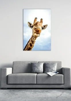 Akustikbild LÄCHELNDE GIRAFFE