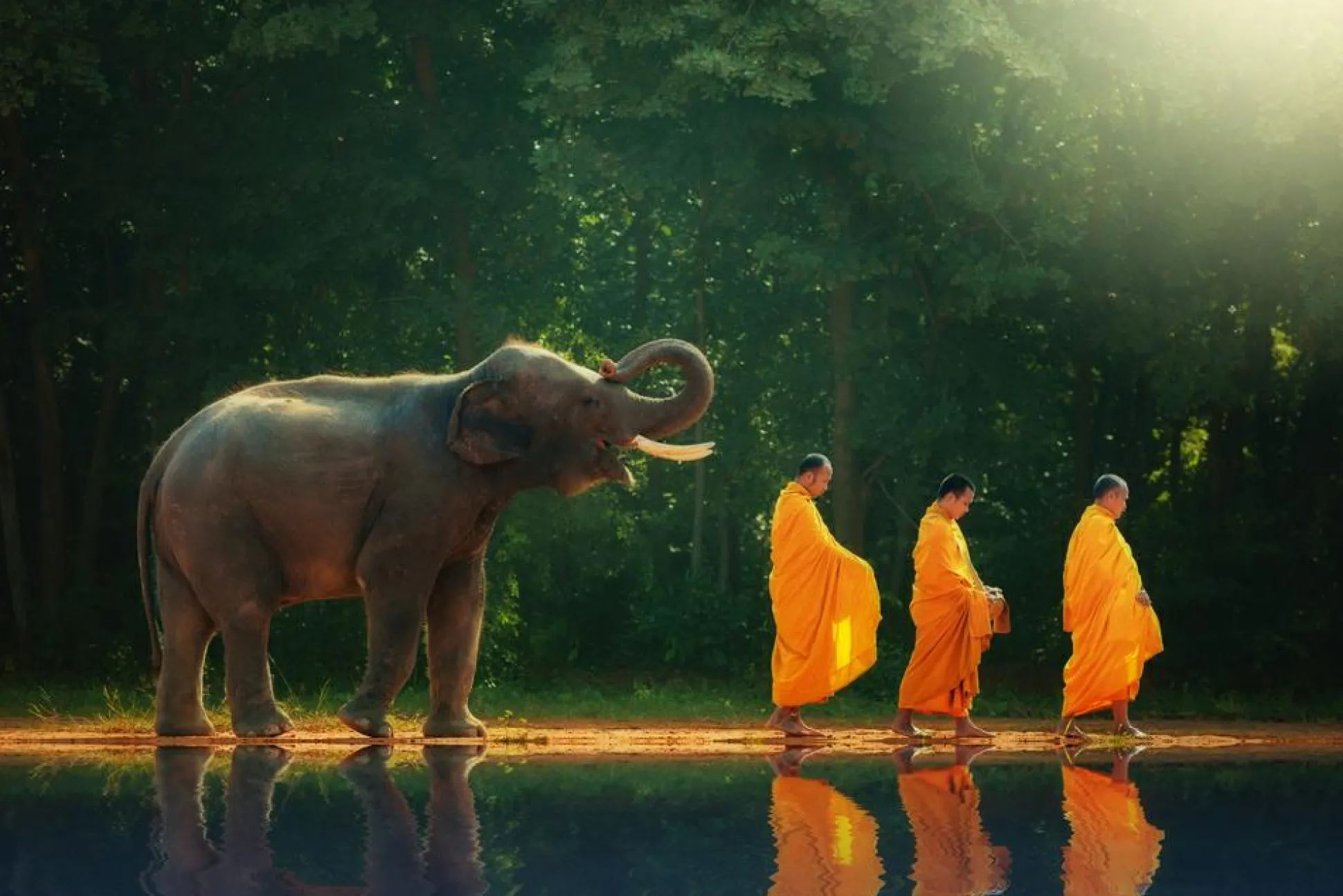 Akustikbild MÖNCHWANDERUNG