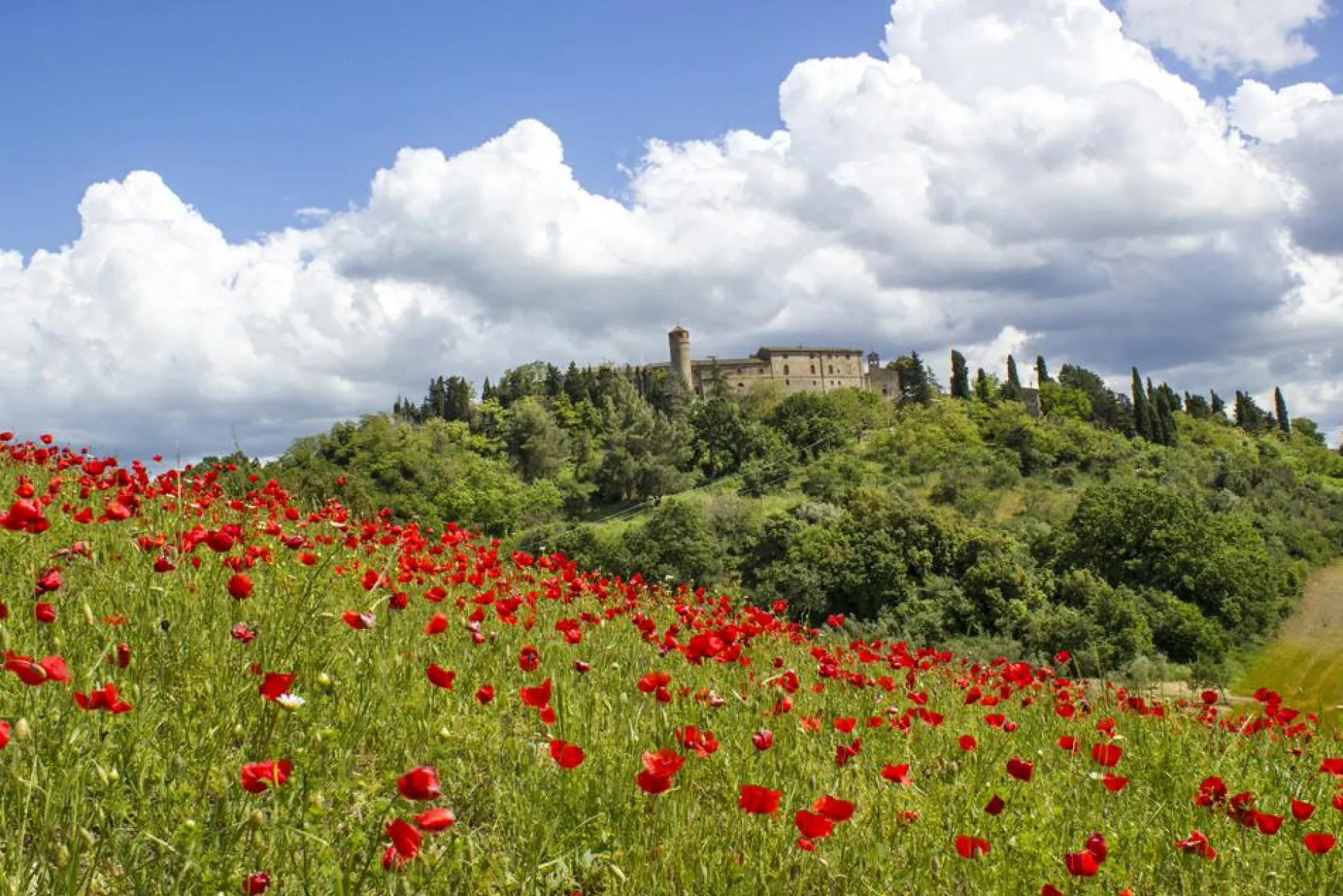 Akustikbild MOHNWIESE 1