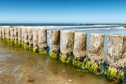 Akustikbild WELLENBRECHER 4