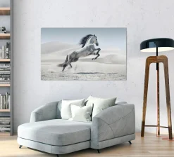 Akustikbild WILDPFERD