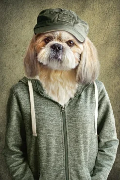 Akustikbild WITZIGER HUND