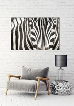 Akustikbild ZEBRA