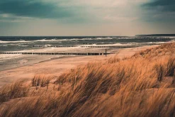 Aludibondbild COASTLINE