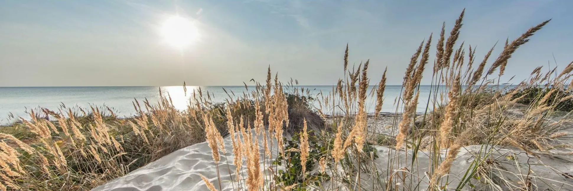 Aludibondbild LOOK THE HORIZON