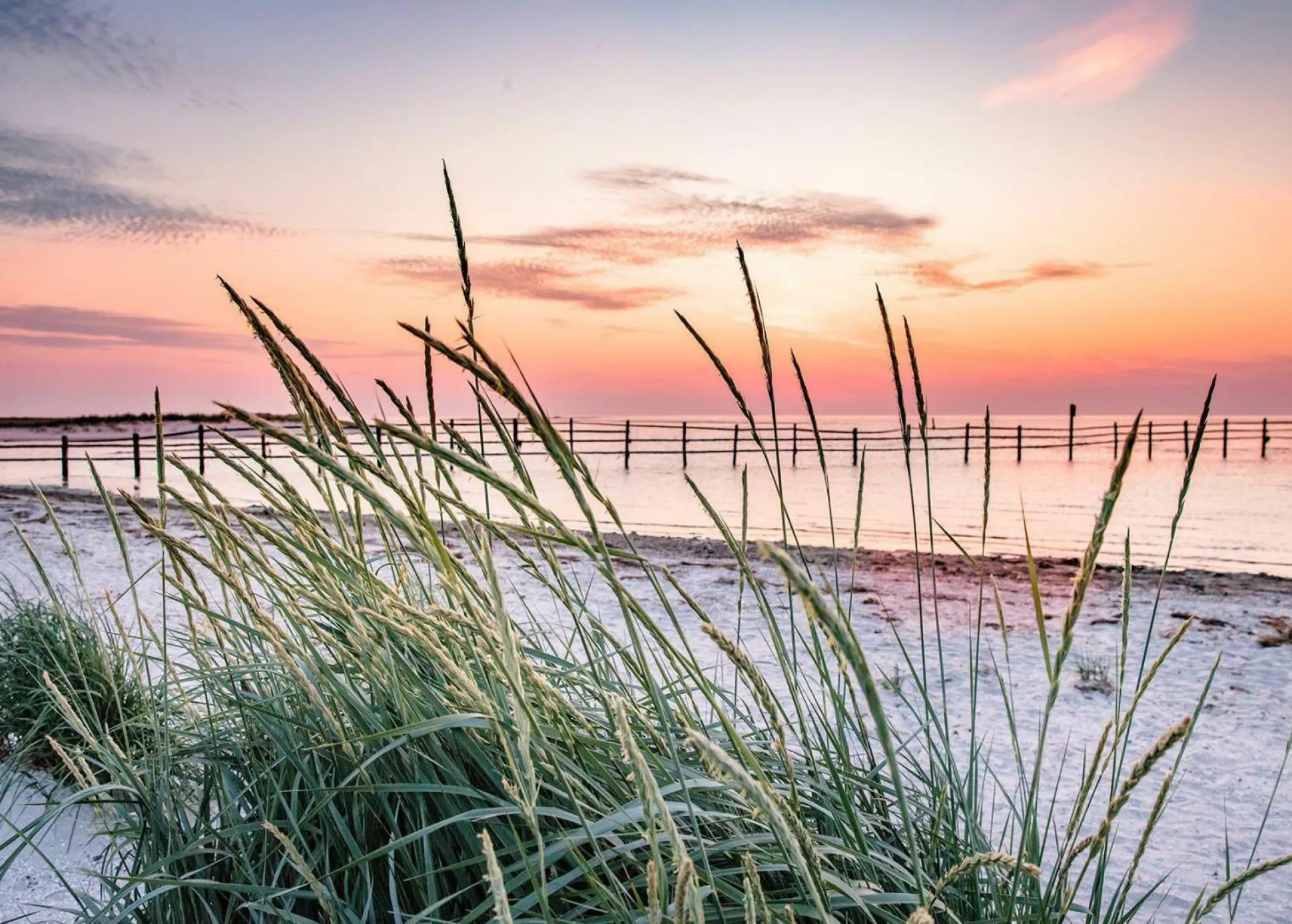 Aludibondbild NORTHSEA