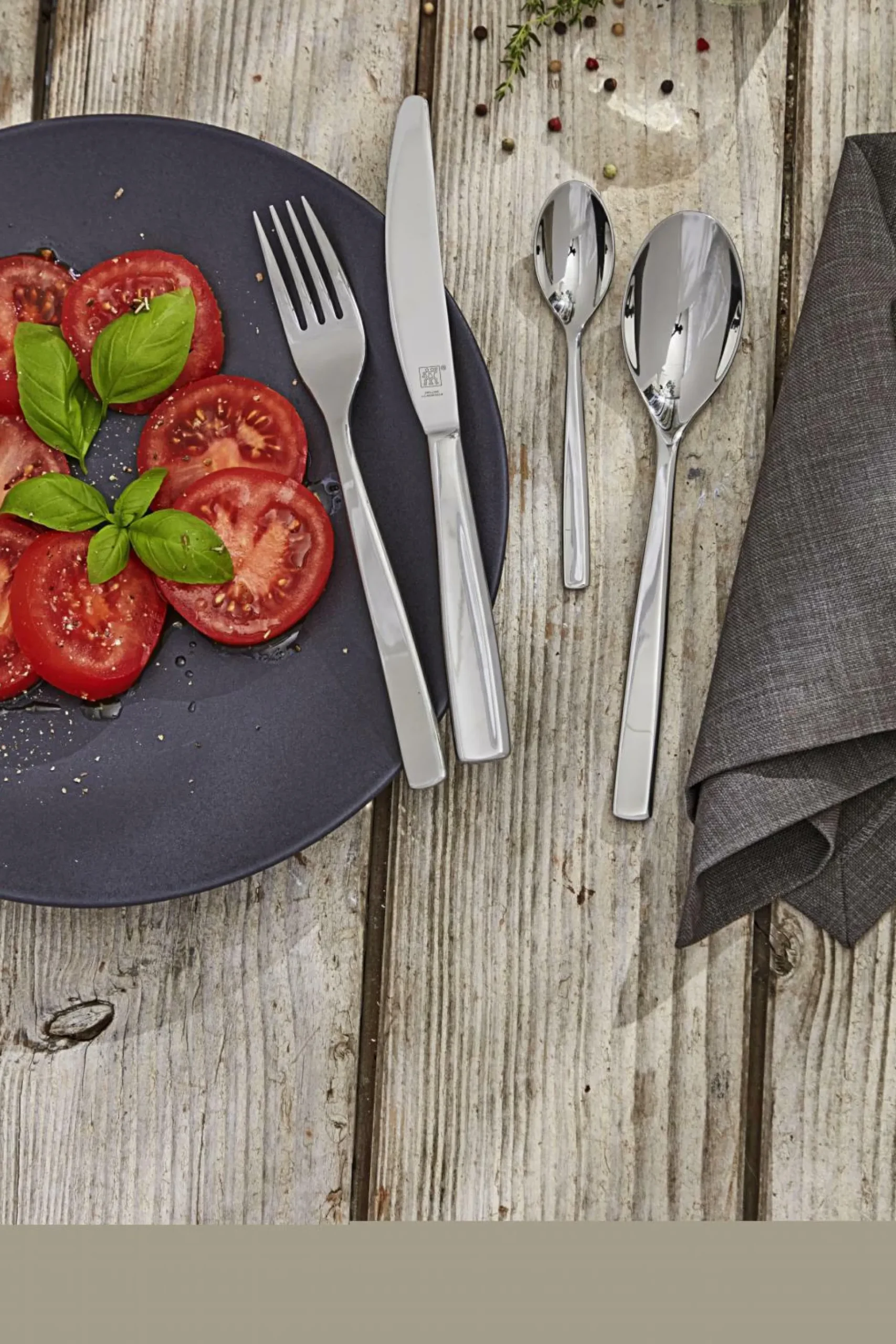 Besteckgarnitur ZWILLING ALBANY