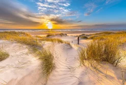 Decopanel SUNNY MORNING