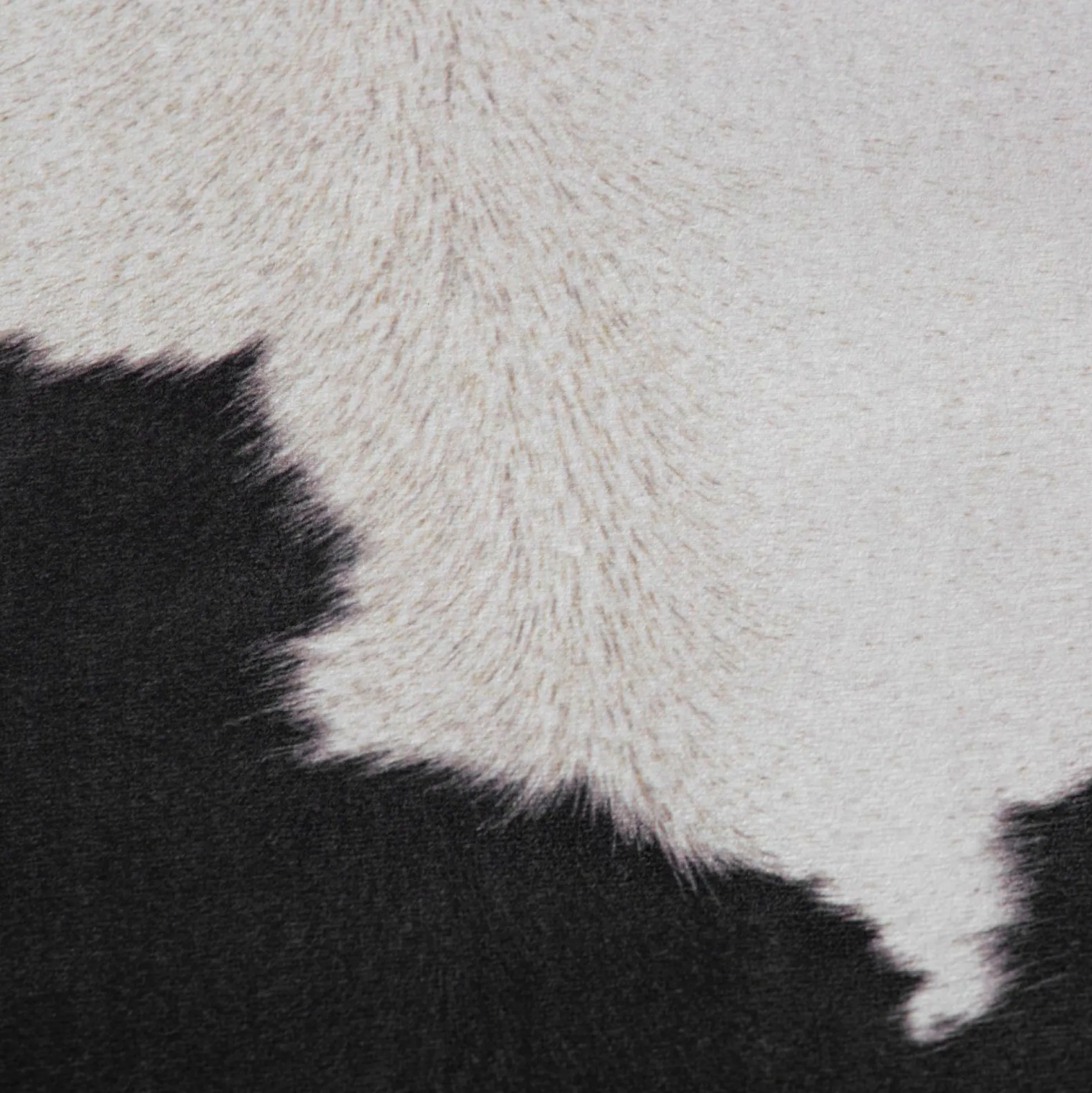 Fellteppich MY TOLEDO