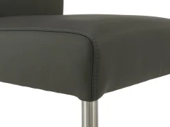 Freischwinger SERENA