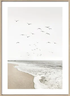 Gerahmtes Bild AT THE COAST I