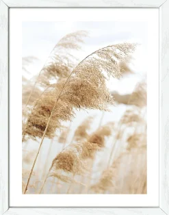 Gerahmtes Bild COAST III