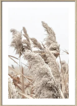 Gerahmtes Bild IN THE BREEZE