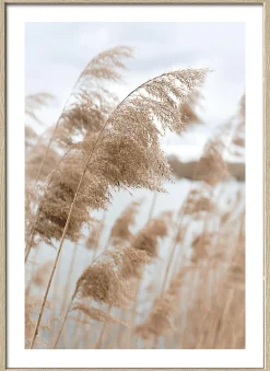 Gerahmtes Bild IN THE BREEZE