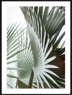 Gerahmtes Bild JUNGLE LEAVES