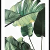 Gerahmtes Bild JUNGLE LEAVES