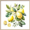 Gerahmtes Bild LEMONS I