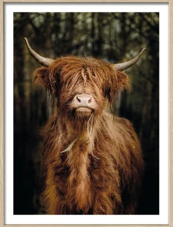 Gerahmtes Bild SCOTTISH