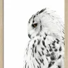 Gerahmtes Bild SNOW OWL