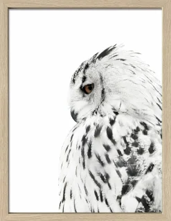 Gerahmtes Bild SNOW OWL