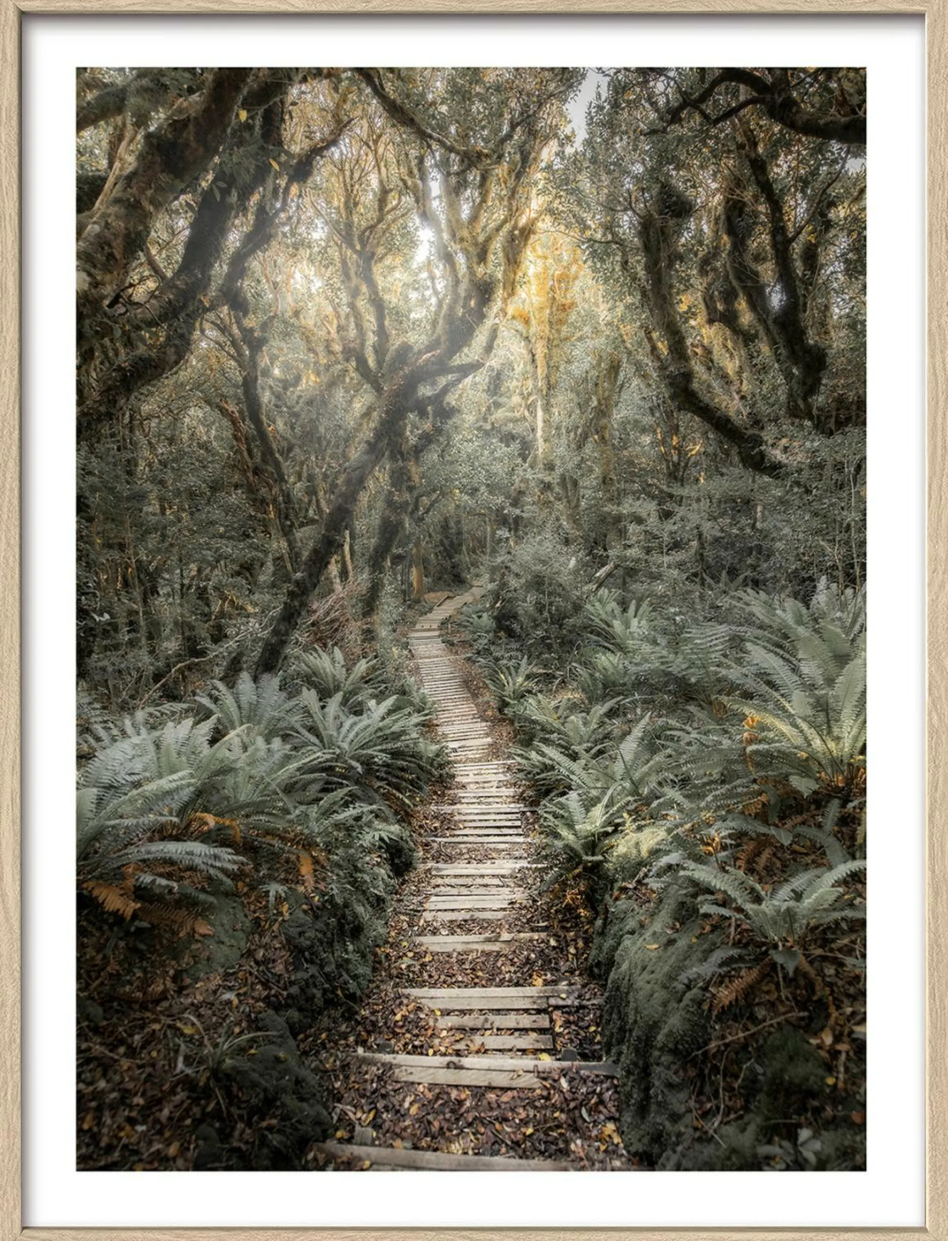 Gerahmtes Bild THROUGH THE