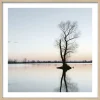 Gerahmtes Bild TREE IN A LAKE