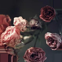 Glasbild BEAUTIFUL ROSES
