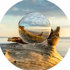 Glasbild DROP ON WOOD