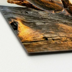 Glasbild DROP ON WOOD