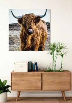 Glasbild HOCHLANDRIND