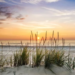 Glasbild LONELY DUNE