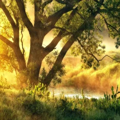 Glasbild MISTY LANDSCAPE I